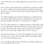 우주소녀 교통사고 관련 문제