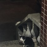 [19] 전문대 인식 아직 안좋아?