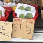 재수 중인데도 성적 별로라 우울함