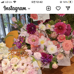 나 04인데 장원영 걍 천상계같았거든?