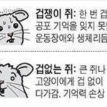내 친구도 ㅈㄴ 대단하지 않냐