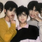 툽<b>깅이</b>들