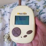 [드루와] 우리집 냥이 보고싶어