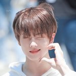 [NCT드림] 아 파리 라잌 어 햄스타