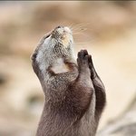 [NCT드림] 콘서트 <b>당일</b> 날씨가 오늘만 같게 해주세요