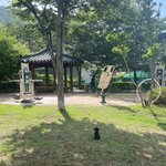 울집<b>강지</b> 개기야움