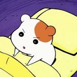 [군대] 아니 근데