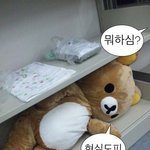 [19] 뚱뚱한데 코트 입는거 이상함?