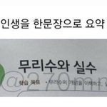 서울대 브이로그 같은거 보면