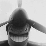 뜻밖의 매우 감정적인 <b>스냅샷</b>