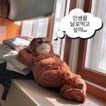 에이블리 <b>속옷</b>후기같은거 보면