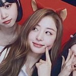 이거 진돗개라고 하는거지?