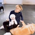 [스키즈] 댕댕이가