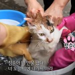 [드루와] 얘들아 진짜 살빼라