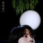 [방탄소년단] 달보다 빛나는  <b>월</b>와핸