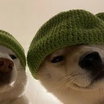 너네 거부감 드는 유형있냐