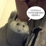 이번 9모 고2 영어