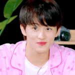 [NCT드림] 드림쇼 나눔 생각보다 많이올라오네
