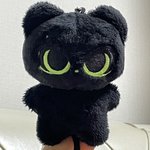아이돌인형딘심 귀엽네;;