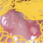 [<b>댓글</b>부탁해] 얘들아 나 혓바늘 <b>두</b>개나남