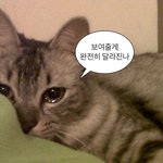 <b>전남</b>외고 어떰