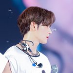 이재현 무새 등장