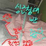 개 키우면 안좋은점