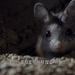 <b>여운</b>을 000다 이거 뭐지ㅠ