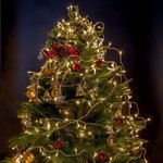 나 벌써부터 <b>캐롤</b> 듣는중