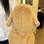 [NCT칠프] 툥스타 이게 뭘까?