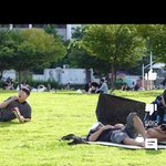[이것좀봐줘] 요즘 유튜브 <b>민폐</b> 컨텐츠 ㅈㄴ많네