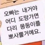 [군머] 마음에 드는 짤 주웟다