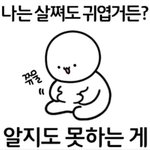 요<b>호호</b>