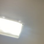 <b>습도</b> 높은날 반곱슬 판녀의 머리..