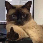 졸려 <b>자고</b>싶어
