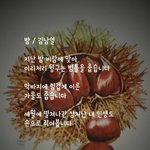 김남열 <b>시인</b>/밤