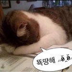 썸남 중학교때 사진보는데