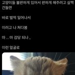 간혼데 <b>화생</b> 에바냐
