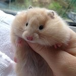 내일 학생들 인명<b>피해</b>만 안났으면..ㅠ