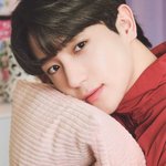 더보이즈 <b>재현</b>?