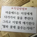 팬들 본진 외고준비생 <b>과고</b>준비생 출신으로 앓는거