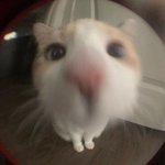 고ㅏ학만 잘 하는데 이과 <b>가도</b> 됨?
