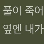 [NCT드림] 나 이거 궁금해