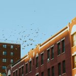 [스키즈] 아 그론데