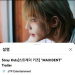 [스키즈] Maxident trailer 200만<b>돌파</b>!