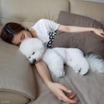 신세경 강아지 <b>진국</b>.jpg