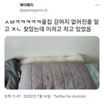 <b>울</b> <b>집</b> 강아지 <b>집</b>에 들어왔는데 이러고 자고 있음