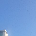 [NCT드림] 갈릴레오 <b>중형</b>+갤럭시 줌