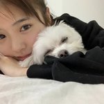 [드루와] 영화 콜 절대 보지마ㅡㅡ띠발