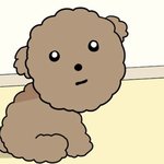 [댓글부탁해] 우리엄마 이거 <b>뭔</b>뜻으로 <b>말</b>한거임?